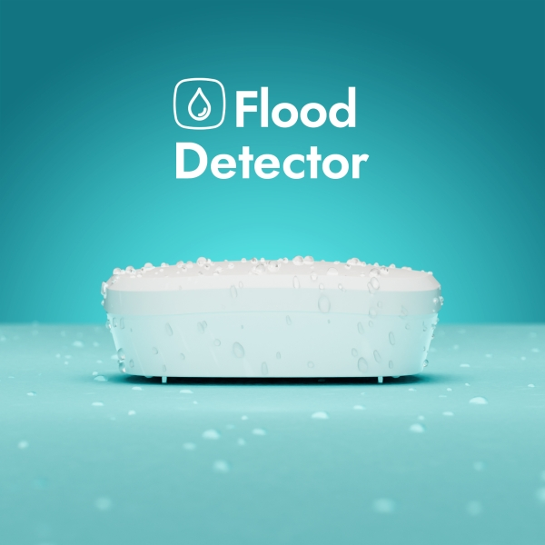 Flood Detector