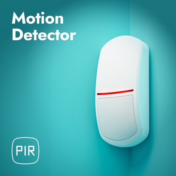 Motion Detector